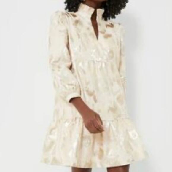 TUCKERNUCK EVERYTHING Must GO Champagne Fil Coupe Palmerston Dress - Picture 3 of 7